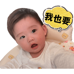 Rophine Family 常用語❷