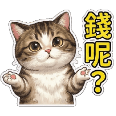 White cat ball White cat ball