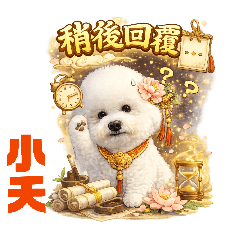 小夭娘-比熊稍後回覆