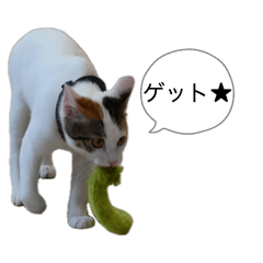 Nekonowa 公式LINEスタンプ第1弾