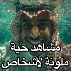 アラビア語が分からなくてもノリで伝わる！