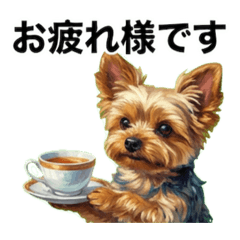 Mie_20260121173912
