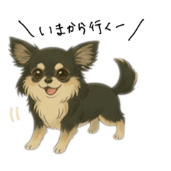 mickey_20260121211600