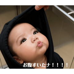 momo_20260121182105