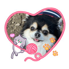 mikity_20260121212018