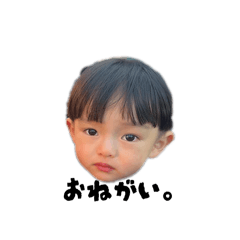 yoshi_20260121224033