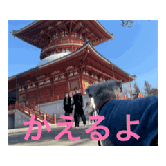 Ken Ken_20260121225007