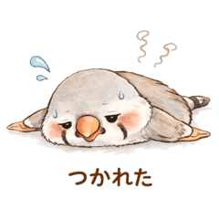 markl_20260121224040