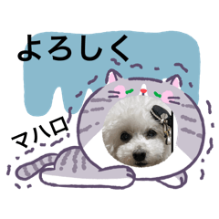 chie_20260121145901