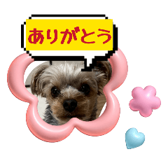 kakachan_20260121151747