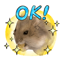 samuSO
