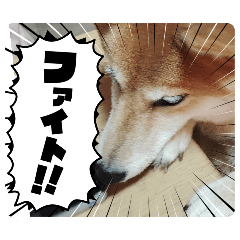 wannsuke_20260121192435