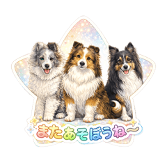 bellmam_20260121164441