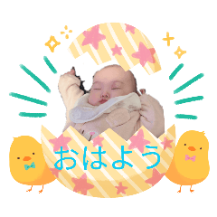 alice_20260121154135