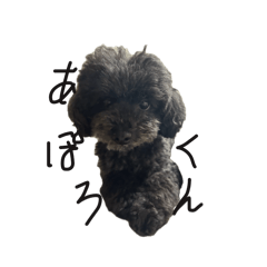 K_20260121175253