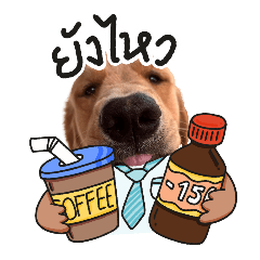 เลม่อนกู๊ดบอย v.3 โกลเด้นทำงาน