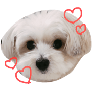 maru(2)