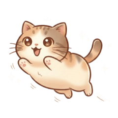 The Daily Life of Calico Cat Hua Hua 2