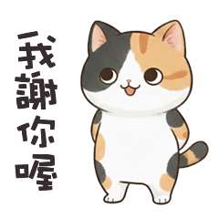 lovely lovely cute cat7