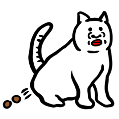 우메모토 집 고양이