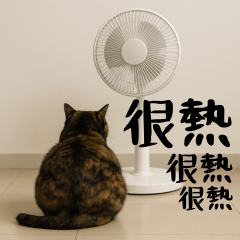 Xiaohua & Friends Real Cute Cat Stickers