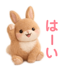 momo_20260121144539