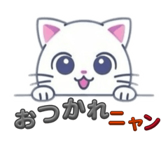 Akkum_20260121150352