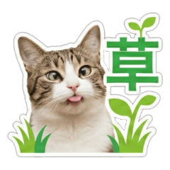 虚無顔な実写猫たち【超短文で使える】