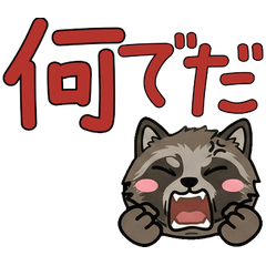 Round Ezo Raccoon Dog  21st