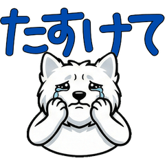 Animated Reaction Westie  16th