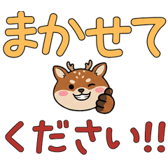 Polite Round Ezo Sika Deer  23rd