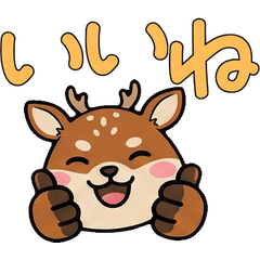 Round Ezo Sika Deer  22nd