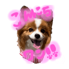 Yuka_20260121201433