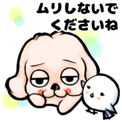 A loose and lazy dog10 Polite Ver