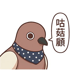 古菇顧珠頸斑鳩