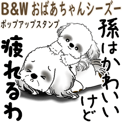 B&W 飛び出すシーズー犬 「おばあちゃん」