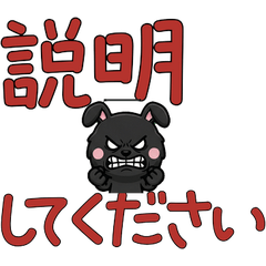 Animated Polite Rabbit 6th