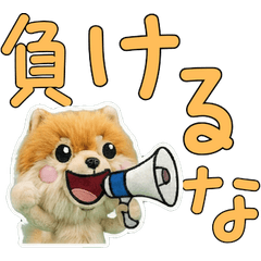 Moving Plush Pomeranian 4th