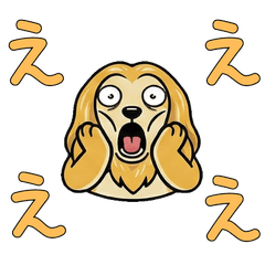 Polite Reaction Afghan Hound  17th