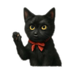 Human-faced black cat