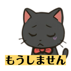 black cat apologizing