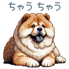 My Pace chow chow dog