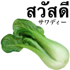ちんげん菜 【タイ語】