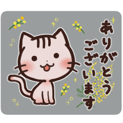 Cute cats for Japanese