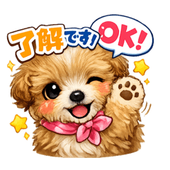 pimama_20260121205027