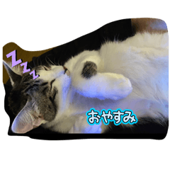 Rei_20260121222032