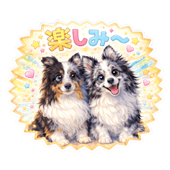 bellmam_20260121222002