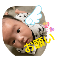 shii_20260121222635