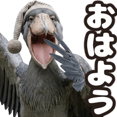 飛び出す!ハシビロコウ
