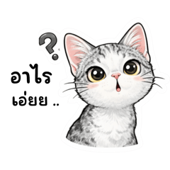 Heb & Hao - GrandFather & GrandMother